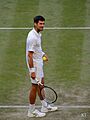 Novak Djokovic (48766973467)