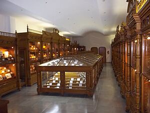 Archivo:Pachuca Centro (16)