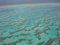 Part of Great Barrier Reef from Helicopter.jpg