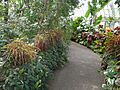 Phipps - 069
