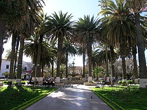Archivo:Plaza in Tarija