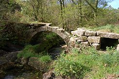 Ponte río Tenorio.jpg