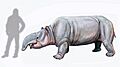 Pyrotherium-romeroi