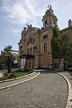 Teatrul National din Cluj-Napoca.jpg