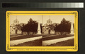 The Plaza Monument and Cathedral of St. Augustine, Florida (NYPL b11707420-G90F143 022ZF)f