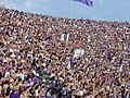 Tifosi fiorentina