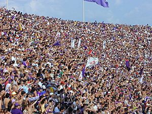 Archivo:Tifosi fiorentina