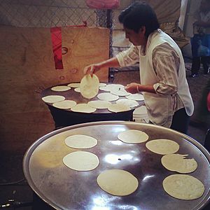 Archivo:Tortilla de comal