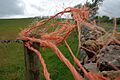 Twine on Fence Post - geograph.org.uk - 2623575