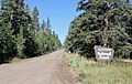 Uncompahgre National Forest