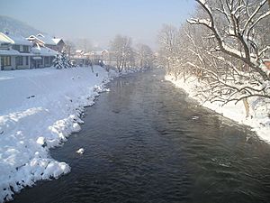 Archivo:Vrbanja z