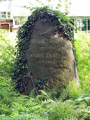 Archivo:2006-09-02 Botanischer Garten Grab Engler