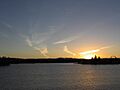 Ac burleygriffin