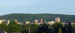 Archivo:Binghamton, New York skyline, June 2007