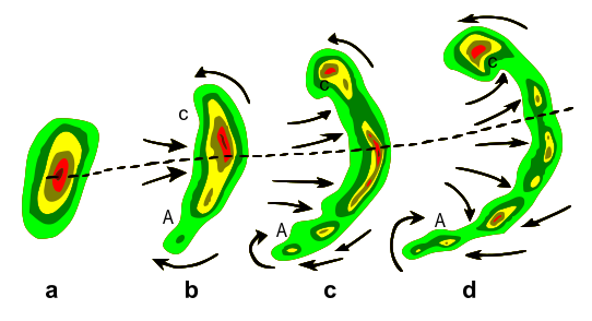 Típica evolución de un eco de radar de una tormenta (a) dentro del eco en arco (b, c) y dentro de un eco en coma (d). La línea punteada indica el eje del mayor potencial de las ráfagas descendentes. Las flechas indican los flujos de viento relativos de la tormenta. Se notan regiones de rotación ciclónica (C) y de rotación anticiclónica (A); ambas regiones, especialmente C, son capaces de soportar el desarrollo de tornados en algunos casos.