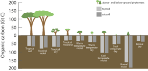 Archivo:Carbon stored in ecosystems