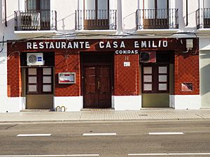 Archivo:Casa Emilio Zaragoza 2