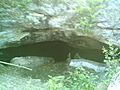 Cenote Yaax-Ha (Tixcocob) 03