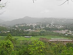 Ciales, Puerto Rico view from Paseo Lineal Juan Antonio Corretjer (3).jpg