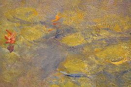 Claude Monet, Nympheas, after 1916, oil on canvas, Tate Modern (detail) - 2