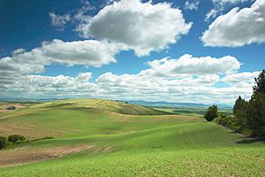 Archivo:Clouds over hills