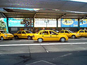 Archivo:Colectivos