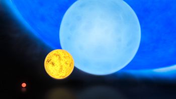 Comparison of the sizes of a red dwarf, the Sun, a B-type main sequence star, and R136a1.jpg