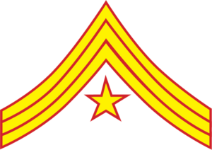 Archivo:Confederate States of America Ordnance Sergeant-Marines