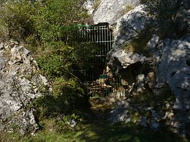 Archivo:Cueva de la Pasiega