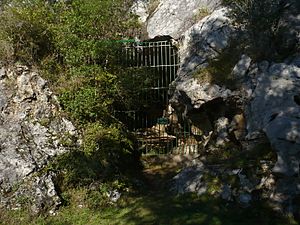 Cueva de la Pasiega.jpg