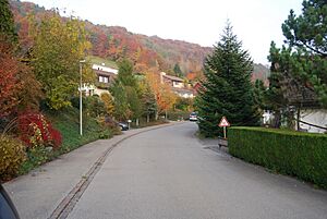 Archivo:Daettlikon 153