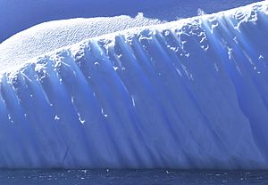 Archivo:Detalle iceberg 11