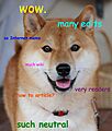 Doge homemade meme