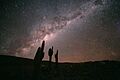 Echinopsis Atacamensis and the Milky Way