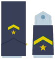 Ejerairedivies12