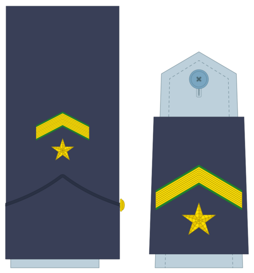 Ejerairedivies12