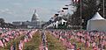 Field of Flags (cropped)