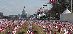 Archivo:Field of Flags (cropped)