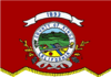 Flag of Kings County, California.png