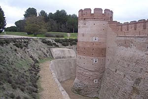 Archivo:Foso del Castillo de La Mota