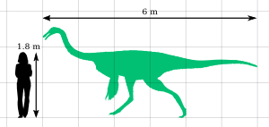 Archivo:Gallimimus Size Comparison by PaleoGeek