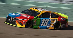 Archivo:Kyle Busch at Homestead 2019