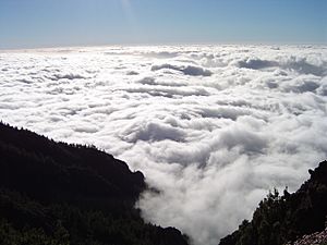 Archivo:Mar de nubes, Tenerife