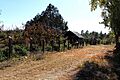 Mesa del Campanero, Yécora, Sonora - 26564203017