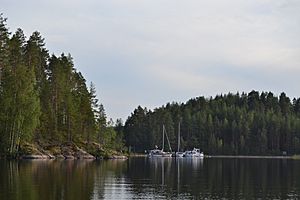 Archivo:Mitinhiekka, Pihlajavesi, Lake Saimaa
