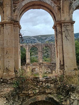 Archivo:Monasterio de Rioseco (Valle de Manzanedo) (4)