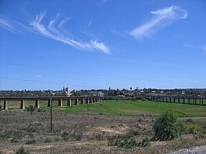 Archivo:Murray Bridge