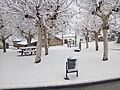 Nevazo 2018 Fuentes de Bejar