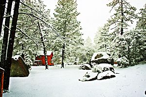Archivo:Paisaje con nieve