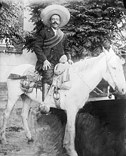 Archivo:Pancho villa horseback